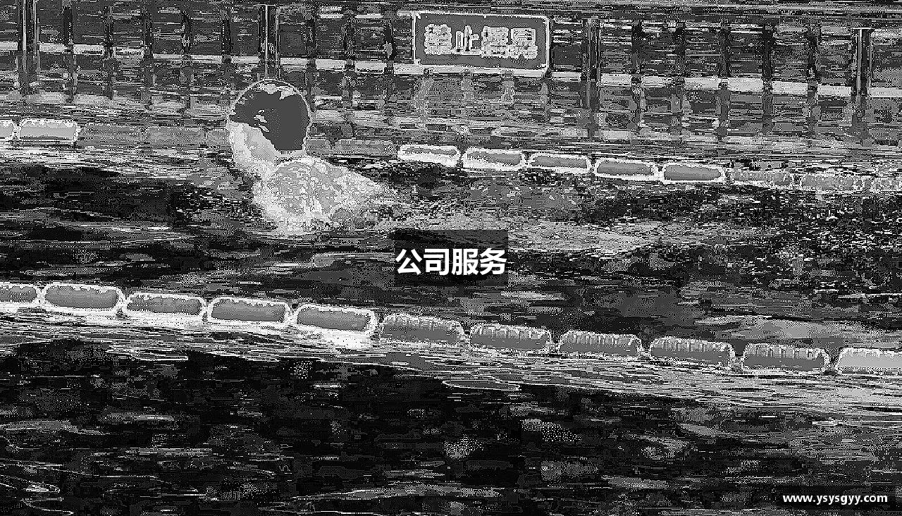 公司服务